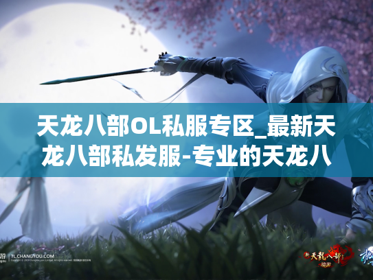 天龙八部OL私服专区_最新天龙八部私发服-专业的天龙八部私发服发布网  第1张