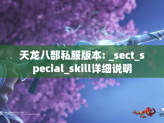天龙八部私服版本: _sect_special_skill详细说明  第1张