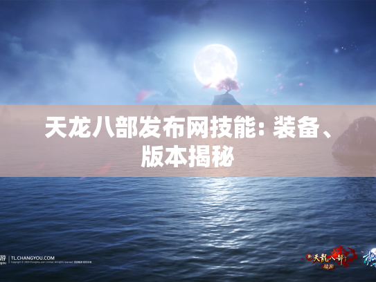 天龙八部发布网技能: 装备、版本揭秘  第1张